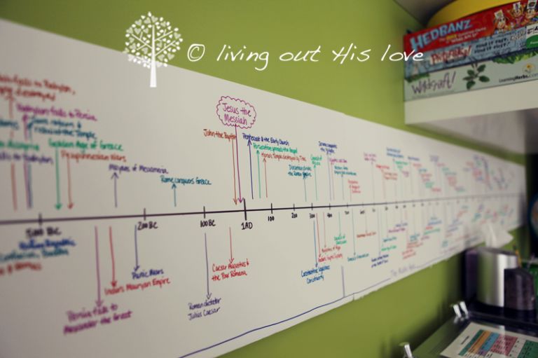 Our CC Timeline Naturally Wholistic