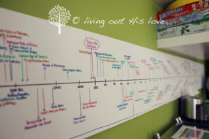 Our CC Timeline | Naturally Wholistic