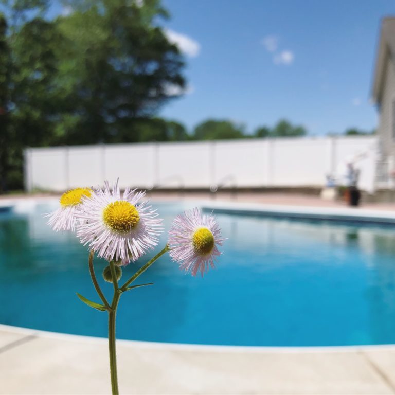 My Summer Reading List