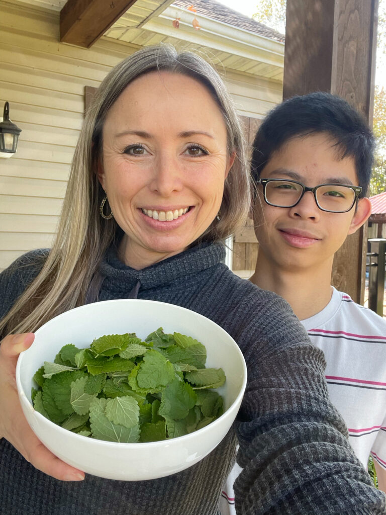 Fresh Lemon Balm Cold Infusion