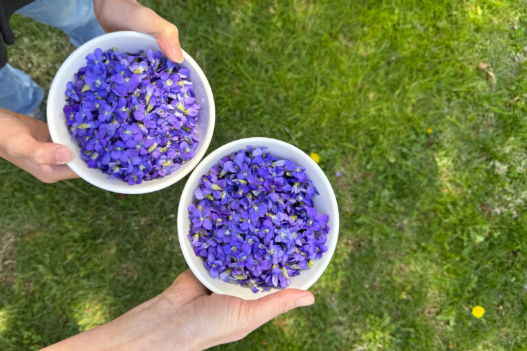 The Versatile Violet