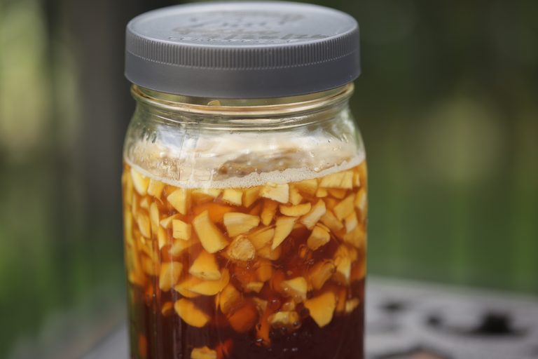 Fermented Garlic Honey